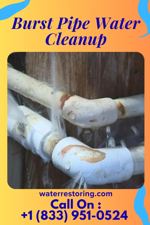 Burst Pipe Water Cleanup in Mount Eaton, OH