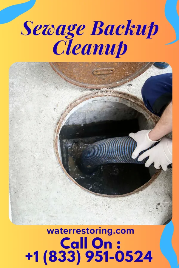 Sewage Backup Cleanup in Mount Eaton, OH