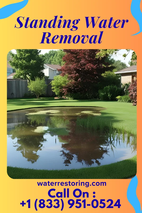 Standing Water Removal in Mount Eaton, OH